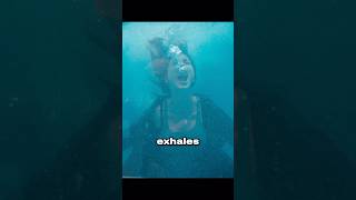 Can Humans Really Turn Into Mermaids?