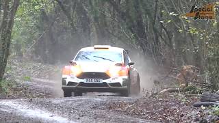 Welsh Rally Championship 2017 - Wyedean Stages