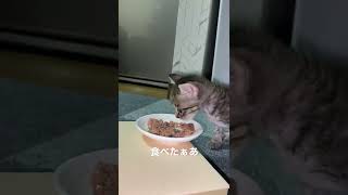 はるちゃん　離乳食チャレンジ