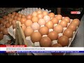 28 FEBRUARI 2023 BERITA PAGI – SUBSIDI TELUR AYAM DITERUSKAN HINGGA JUN DENGAN KOS RM1.28 BILION