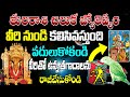 తులరాశి చిలుక జ్యోతిష్యం | Thula Rasi Phalalu | Libra Horoscope | Hindu Tv