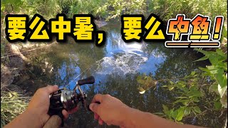 【达拉斯野钓】30分钟限时作钓，这是三天前连续切线的鱼吗？| Back to same puddle，Looking for monster #30MinuteFishingChallenge