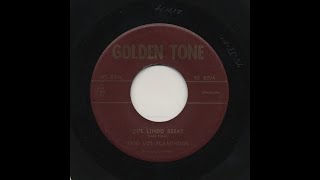Trio Los Flamingos - Que Lindo Besas - Golden Tone Record 100