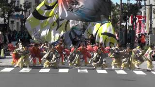 黒潮美遊潮っ子組  黒潮よさこい祭り  本通り会場  2013.10.13