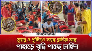 সুস্বাদু ও পুষ্টিগুণ সমৃদ্ধ কুচিয়া মাছ, পাহাড়ে বৃদ্ধি পাচ্ছে চাহিদা | Khagrachari