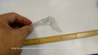 Body-temperature programmable thermoplastic elastic shape memory polymer: shape memory effect