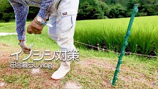 イノシシ対策！田んぼ周辺に電気柵を設置しました【田舎暮らしvlog】【山口県】