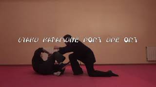 SHINDEN FUDO RYU JUTAI JUTSU (NINJUTSU BUJINKAN TERRASSA)