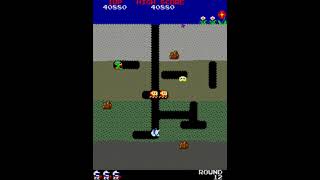 [FWR] Dig Dug lvl 12 in 15.467