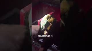 賭石|翡翠： 誰勸都不行！小伙執意萬元買下一塊原石，一刀切開后，小伙抱著路邊的狗哇哇大哭！ 交流微信：jn3490 #賭石 #翡翠 #翡翠原石