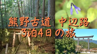 熊野古道　中辺路　3泊4日の旅