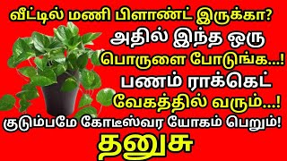 இந்த ஒரு பொருளை மணி பிளான்ட் தொட்டியில் போடுங்க. பணம் ராக்கெட் வேகத்தில்வரும்|#periyava |#Dhanusu