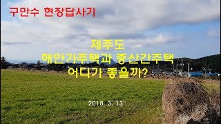 [구만수 현장답사] 제주도 해안가주택과 중산간주택 어디가 좋을까?  20180313