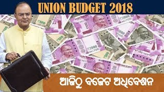 ଲୋକ ସଭରେ 2018/19 ଆର୍ଥିକ ବଜେଟ | - AAMARI ODISHA