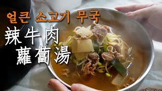 【韓式料理】 辣牛肉蘿蔔湯 | 要來一碗辣牛肉蘿蔔湯嗎?! 調理時間短但味道一級棒!