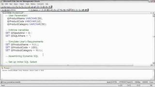 SQL Server Developing Dynamic SQL