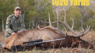 1020 Yard Bull Elk Shot - 400\