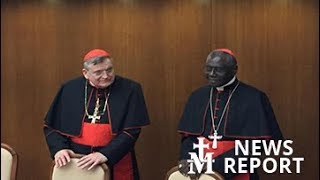 News Report — Using Pan-Amazon Synod for Revolution