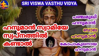 Hanuman Swami in Dream || ഹനുമാൻ സ്വാമിയേ സ്വപ്നത്തിൽ കണ്ടാലുള്ള ഫലങ്ങൾ || SRI VISWA VASTHU VIDYA