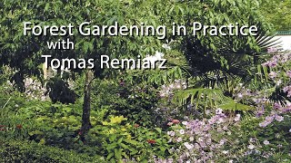 Forest Gardening in Practice with Tomas Remiarz