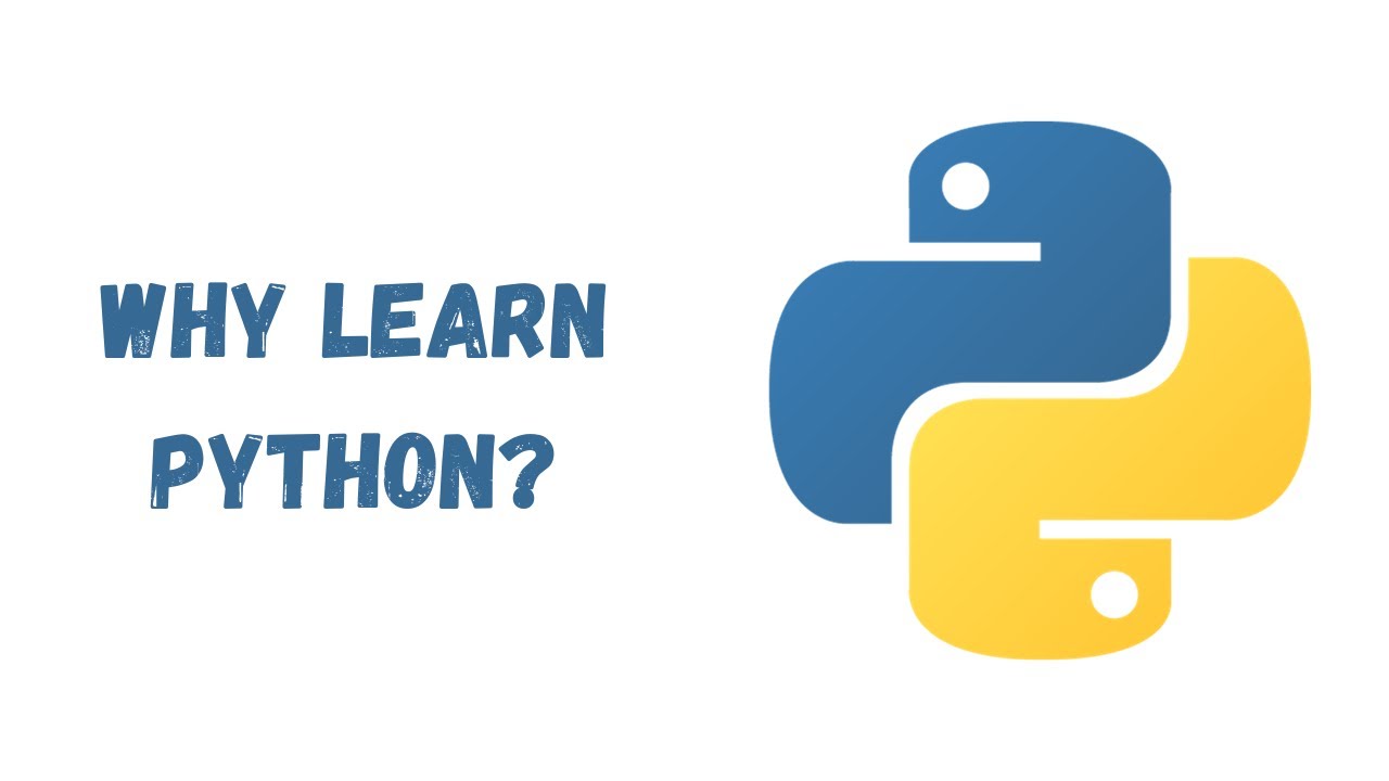 01 Why Should I Learn Python Youtube
