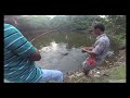 একটি পরিত্যক্ত পুকুরে মাছ ধরা how to fish fishing in an abandoned pond traditional fishing