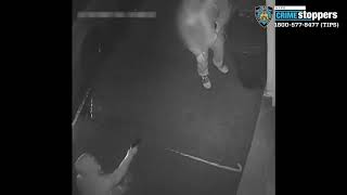 NYPD: Terrifying armed robbery on Staten Island captured real-time