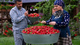 How to Make Strawberry Jam and Cake | Village Cooking