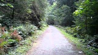 Video - cycling over fall leaves on the Galloping Goose Trail.AVI