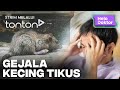 [CLIP] Helo Doktor (10 Nov 2024): Gejala Kecing Tikus | Tonton