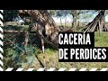 Cacería de perdices en Argentina. Caza Menor. Slow Motion. Partridge Hunting. Wing Shooting. Zoom.