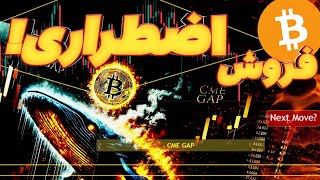 🚨فوری: بیت‌کوین در آتش! همه در حال فروش – وقت خرید است؟ 🔥