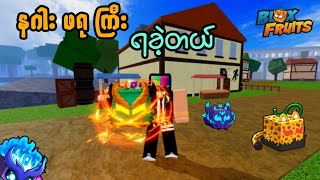 ကျွန်တော် Dragon Fruit ကြီး ရခဲ့တယ် But Bloxfruit Very Easy !!! I Played Bloxfruit But Very Easy