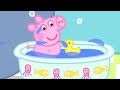 Peppa Gris | Baby Alexander | Tegnefilmer for barn