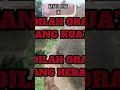 Buat Baik Di Balas Baik BIASA || Buat Jahat Dibalas Baik LUAR BIASA