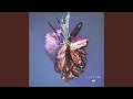 Flutter