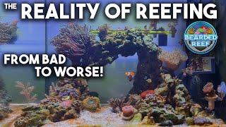 The Reality of Reefing, Its Been a Bad Week, The tank looks worse than ever, and we have an issue!