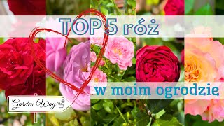 5 Najpiękniejszych Róż w moim ogrodzie