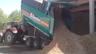 Dumper RA3 200 6 Bossini