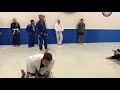 bjj tasmania training