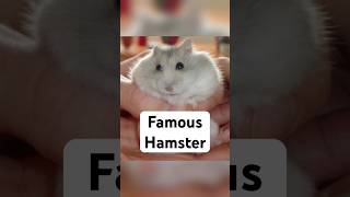 World’s Most Famous Hamster.