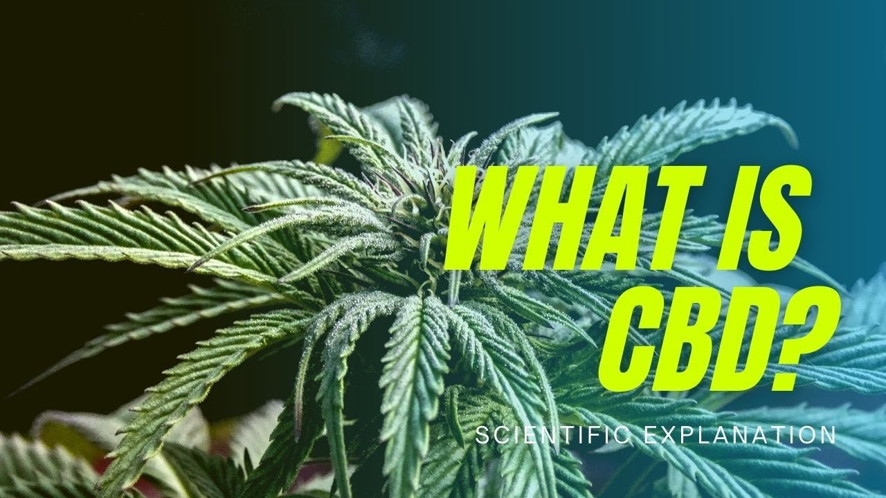 What Is CBD? (Science Explained) - YouTube