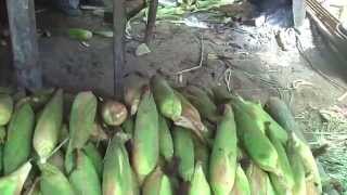 Corn on the cob: a roadside stall in the Philippines, truly sweet