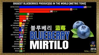 THE LARGEST BLUEBERRIES PRODUCERS IN THE WORLD 🫐
