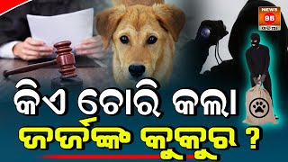 ଜର୍ଜଙ୍କ ଘରୁ ତାଙ୍କ କୁକୁର ଚୋରି କଲା କିଏ ? || News95 Odia