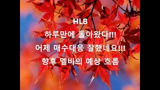 에이치엘비, 에이치엘비생명과학, HLB, HLB생명과학, 넥스트사이언스, HLB글로벌, HLB제약, HLB테라퓨틱스, 노터스, 한미약품, 에스디생명공학, NAVER, 네이버