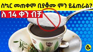 ስኳር ለ14 ቀናት መብላት ብናቆም ምን ይፈጠራል | What Happens to Your Body When You Quit Sugar for 2 Weeks Ethealth