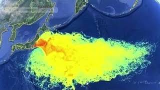 日本核污水终于来了