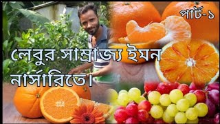 সাইট্রাস প্রেমিদের স্বর্গ রাজ্য ইমন নার্সারি||A citrus lover's paradise Imon Nursery