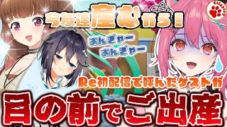 Re初配信！生まれ変わりの門出で、ゲストがまさかのご出産！？【vtuber 切り抜き 神谷ねこ/Vlash 柚原いづみ/ななしいんく 空星きらめ/にじさんじ （話題のみ：詩趣ミンゴス）】